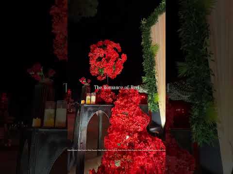 Wedding Planner portfolio by Gala Event and Studios in Jaipur - Photo 2 Wedding Planner portfolio by Gala Event and Studios in Jaipur - Photo 2