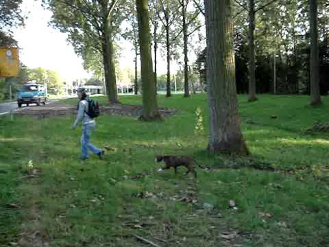 SkateJam 2011 Delft (PDK Soundsystem)