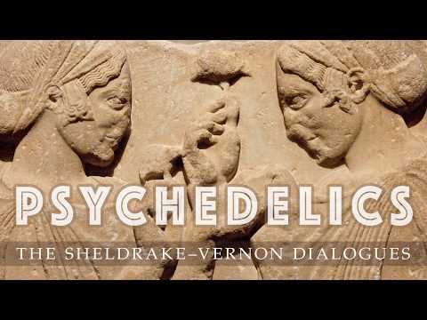 Psychedelics: Sheldrake-Vernon Dialogue 46
