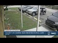 Man Hits Patrol Cars With Bat