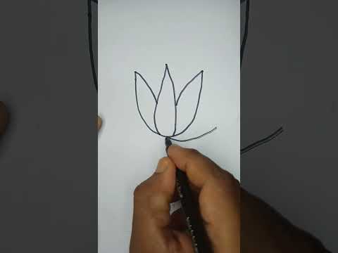 Easy Water Lily drawing | Art 360bd | #shorts