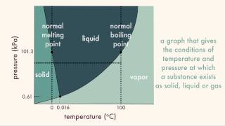 Phase Diagrams