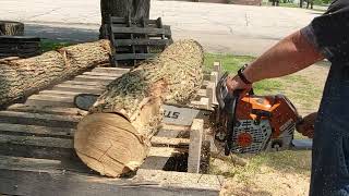 Let the Saw Talk – STIHL MS500i Destroys Ash Logs