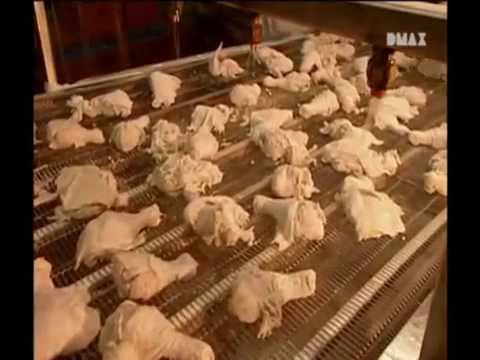 Come è Fatto: Pollo