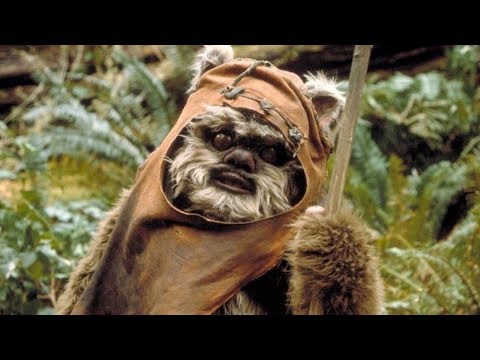 Star Wars: Return of the Jedi - Princess Leia and Ewok Wicket ...
