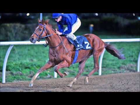 MANCHURIAN Wins Preis von Bordeaux !!!!!