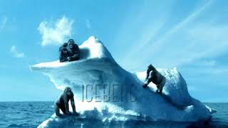 Iceberg Ft - Timmy Thraxx