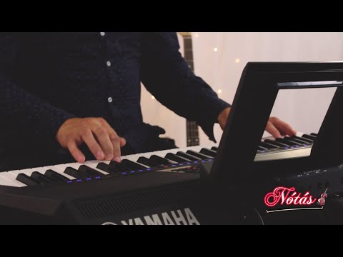 Harnyos Tomi - Kis kertemben viola, rezeda