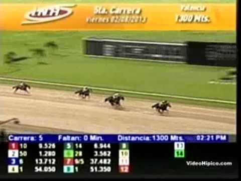 Resumen Viernes, 02 de Agosto de 2013 - Valencia