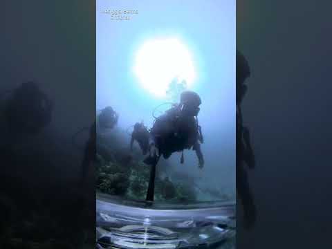 scuba diving di Pasir Putih Manokwari, sebuah pengalaman tak terlupakan