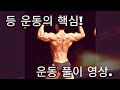 [한의빌더] 턱걸이 및 등 운동 풀이 영상