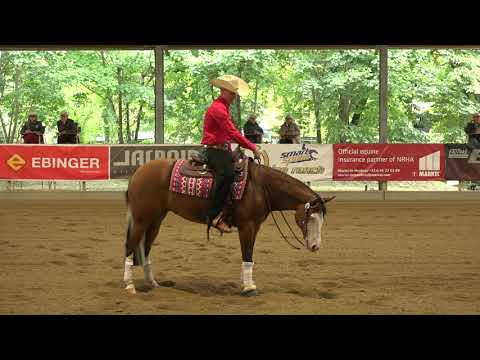 HOLLYWOOD GUNRUNNER & Nikolai Stiller --- EURO DERBY 2020