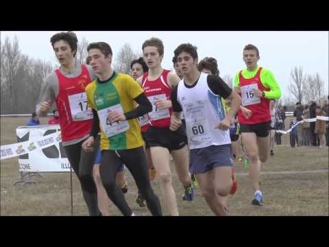 Festa del cross Veneto-Nove 2015