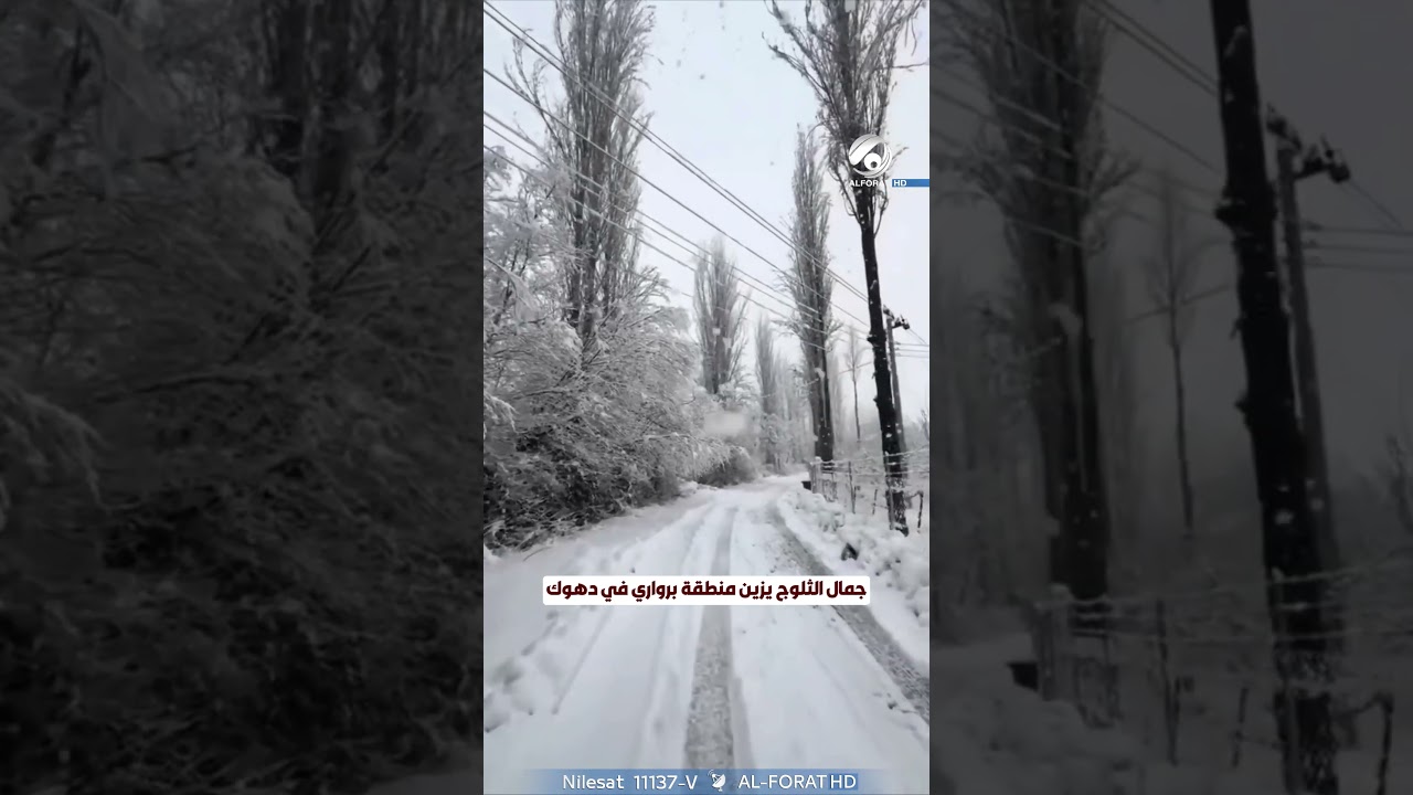فيديو | جمال الثلوج يزين منطقة برواري في دهوك