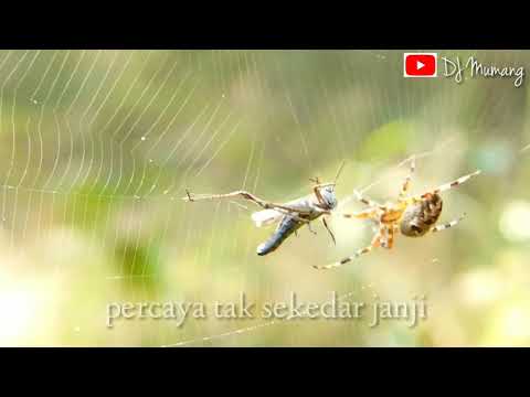 Dhee_Forever (prod by Dj Mumang)