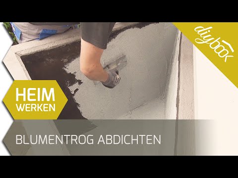 Wie gribok candida behandelt Wie gribok die Köpfe des Mitgliedes zu heilen