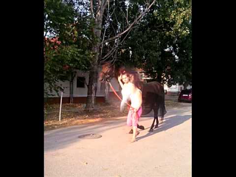 I Love Peter Strooper