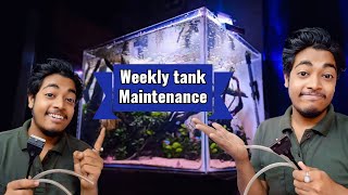 How I do my Planted Aquarium Maintenance ! (Not just water change !)