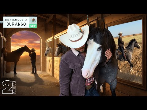 There's great genetics in Durango too! At Rancho San Isidro you can find registered horses