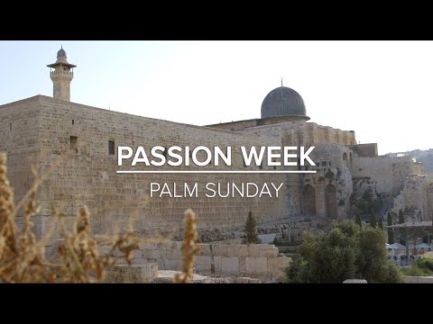 Palm Sunday AD 33