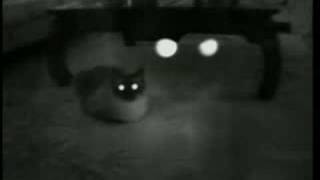 "The Cat Inside" - William S. Burroughs Tribute (1997)