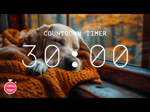 30 minute fall timer with music (relaxing)