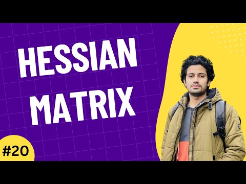 01 The Importance of Linear Algebra in AI Machine Learning Data Science Bangla