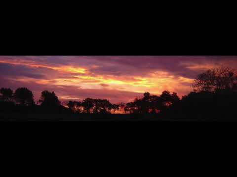 Fred Guichen -Angelus-