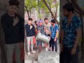 Mani Meraj New Funny Video Manimeraj Comedy Funnyvideo Djrksamastipur Funnyshorts Fun2Fans