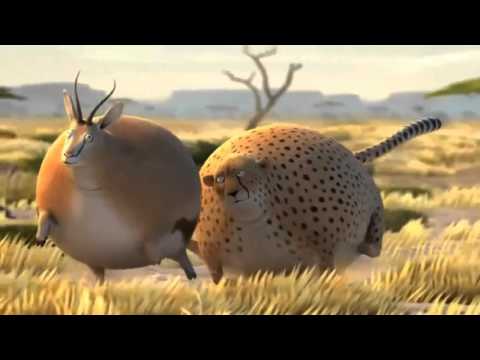 ce ar fii daca animalele ar minca fast food