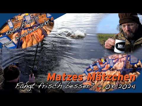 Matze Koch: Köderfisch vom Wochenmarkt? - Matzes Mätzchen 03-2024