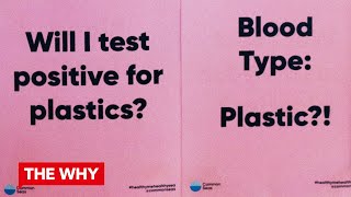 The dangers of plastic to human health⎜WHY PLASTIC?⎜Amsterdam 2019
