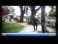 Fehler Im Tatort "Der Tod Ist Unser Ganzes Leben" Vom 30.04.2017 Aus München.