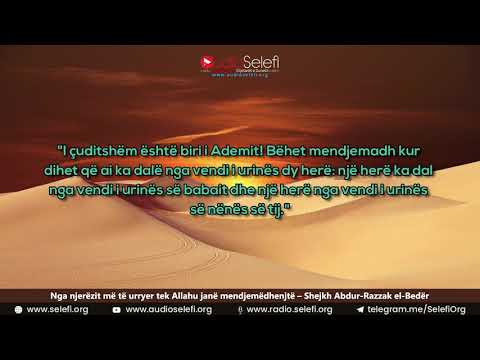 Nga njerëzit më të urryer tek Allahu janë mendjemëdhenjtë – Shejkh Abdur-Razzak el-Bedër