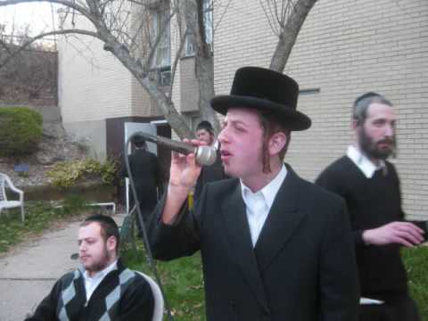 Special Wedding Song By Sruly Green