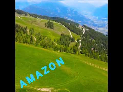 আমাজন বন Amazon Jungle sound effects library - nature and wildlife sounds from the Amazon rainforest
