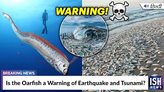 Is the Oarfish a Warning of Earthquake and Tsunami?