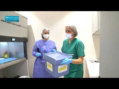 Logo of Key Insights into the Bone Marrow Transplant Procedure in Baku, Azerbaijan