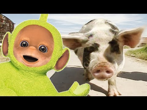 Our Pig Winnie - Teletubbies