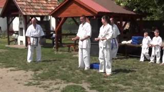 preview picture of video 'A Pizsama Dojo Kyokushin Karate Club bemutató 2012 Pápakovácsi'