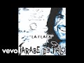 Jarabe De Palo - Grita (Audio)