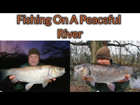 Fishing for Chub on a peaceful small river (Video 158)