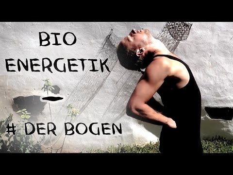 Bioenergetik - Der Bogen