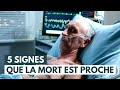 Comment Se Déroulent Les Derniers Jours Avant La Mort 5 Signes De L Approche De La Mort