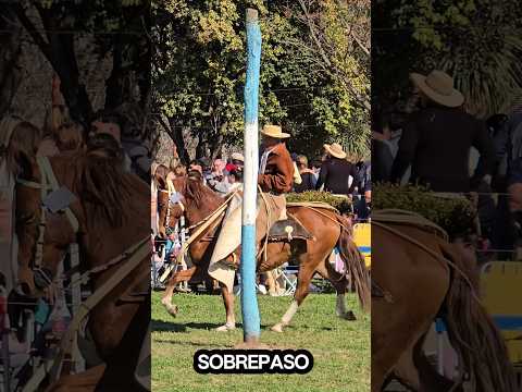 El abuelo desfilando en Wheelwright santa fe 47 años el cencerro 🇦🇷