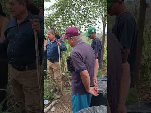 exposicion de planta medicinales sitio COPETON CHONE MANABI ULEAM