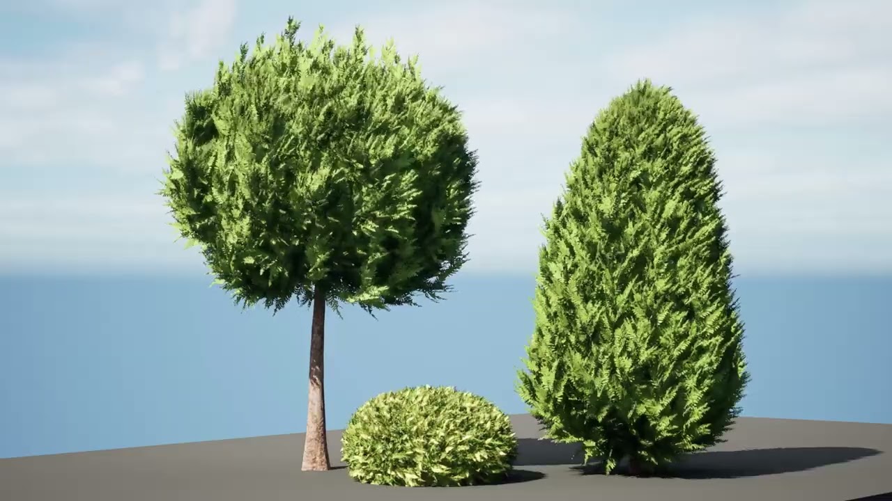 Hetz Midget Arborvitae topiaries 3D Model