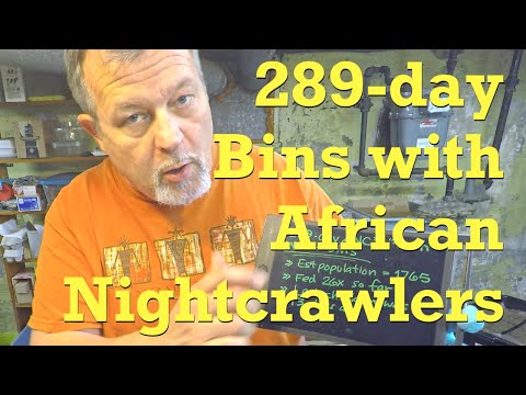 289-day "twin" ANC worm bins fed after 13 days - vermicompost