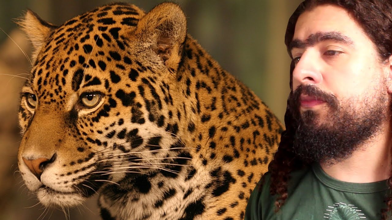 Por que preservar as espécies? (Resposta a Alex Pyron) (#Pirula 136.4)