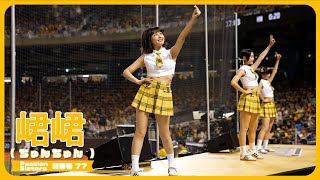 勝利卡農🔔 頭から葉っぱが生えた峮峮 （ちゅんちゅん）チュンチュン  Passion Sisters 中信兄弟啦啦隊 cheerleader 치어리더  臺北大巨蛋 2024/8/4【台湾チアTV】